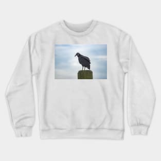 Turkey Vulture in Calabash Crewneck Sweatshirt